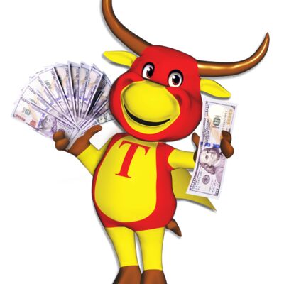 Toro Taxes Store Catalog Thumbnail